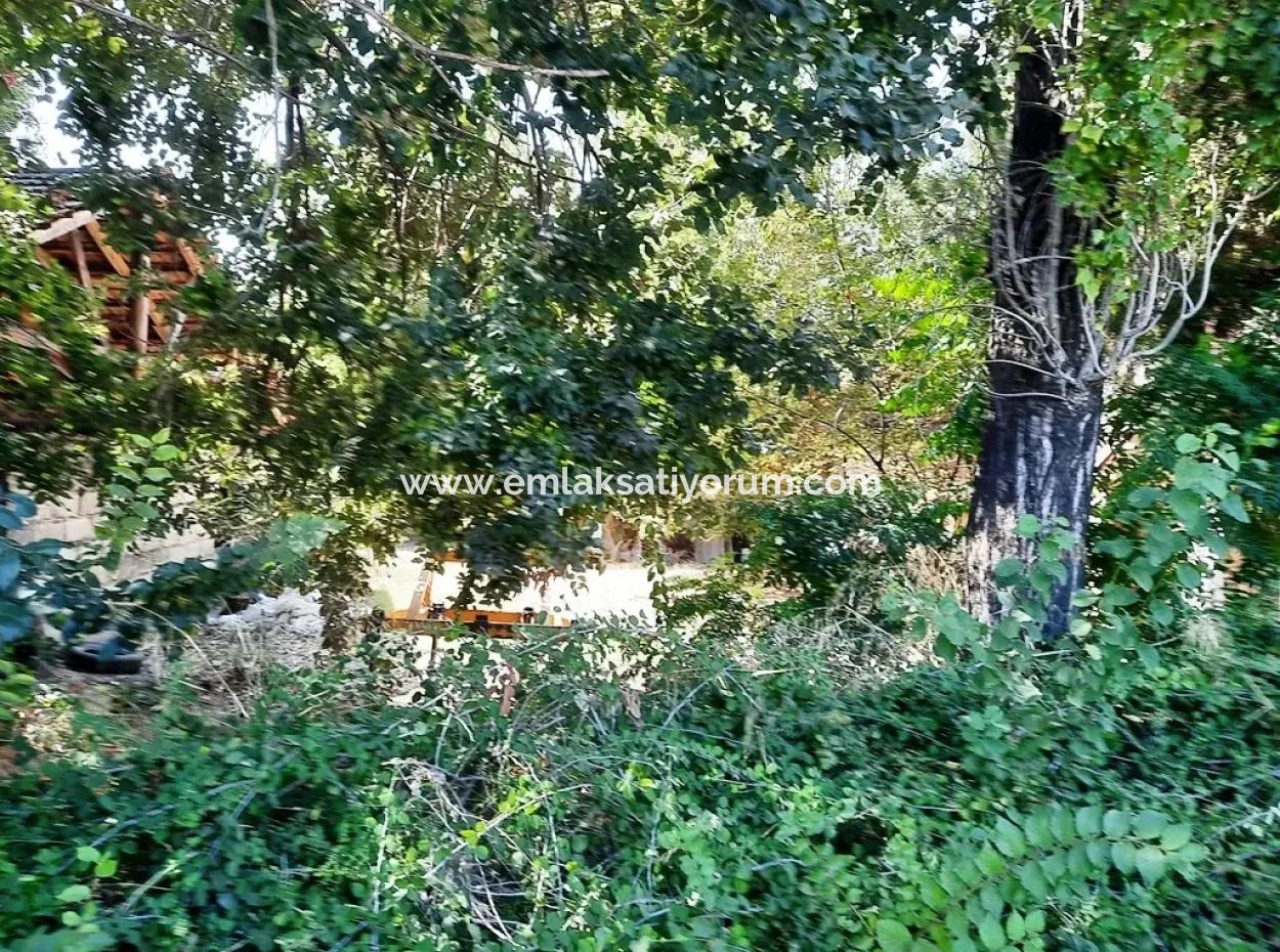 Null Land Zum Verkauf Auf Ortaca Gefärbt