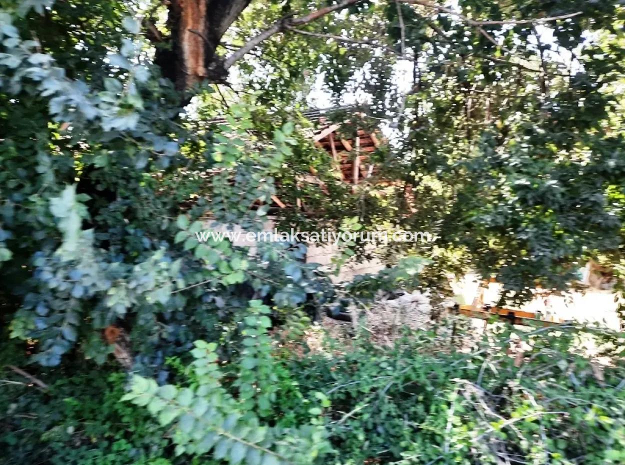 Null Land Zum Verkauf Auf Ortaca Gefärbt