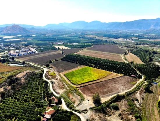 Zum Verkauf Stehen 179 000 M2 Produktive Landwirtschaftliche Flächen, Die Für Null-Zonierungsinvestitionen In Muğla Dalaman Geeignet Sind