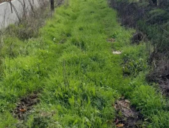 11 450 M2 Feld Zum Verkauf In Muğla Köyceğiz Köyceğiz Nachbarschaft