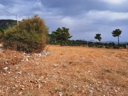 Freistehendes Land Mit Seeblick Zum Verkauf In Köycee'iz Zeytin Bereich