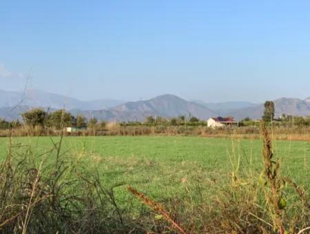 3000 M2 Von 28.394 M2 In Ortaca Güzelyurt Feld Zu Verkaufen