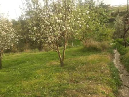 Fethiye Seydikemer Arsaköyn De 900 M2 Seite An Seite 2 Parzellen Apfelgarten Zu Verkaufen.