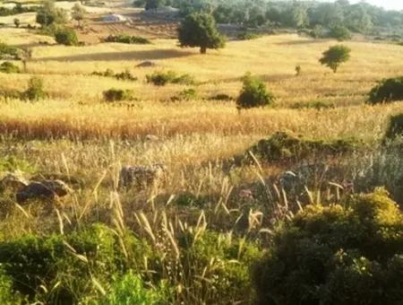 Grundstück Mit Meerblick Zum Verkauf In Boğaziçi Seydikemer