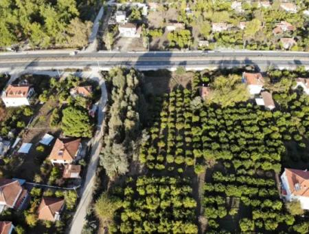 2.800 M² Gewerbe-/Wohngrundstück Zum Verkauf In Köyceğiz Toparlar Mit Blick Auf Die Hauptstraße