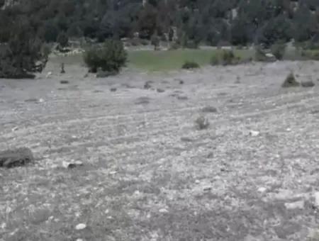 2030 M2 Feld Zum Verkauf In Çameli Ayvacık