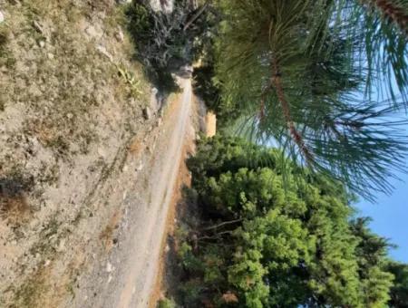 Fethiye, Nif Te, 2 100 M2, Zu Verkaufen, Schnäppchengrundstück