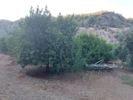 1.300 M2 Freistehendes 250M2 Wohngrundstück Zum Verkauf In Muğla, Ortaca, Karadonlar