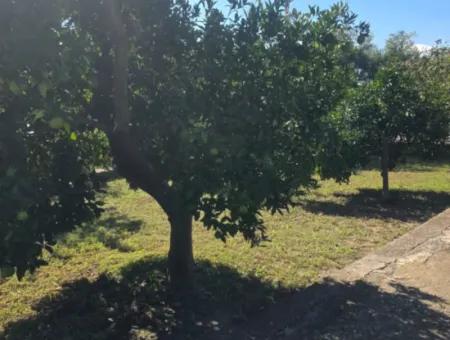 2 1, 70 M2 Dorfhaus Zum Verkauf Auf 902 M2 Land Null Zur Ortaca Akıncı Sarıgerme Road