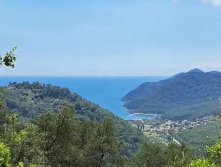 720 M² Olivenhain Mit Meerblick Zum Verkauf In Köyceğiz Ekincik, Muğla