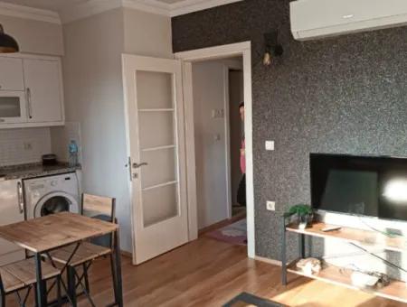 1 1 Voll Möblierte Wohnung Zur Miete Im Ortaca Center