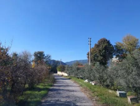 4.500 M² Grundstück Mit 150 M² Baurecht In Muğla Dalyan Zum Verkauf Oder Tausch Gegen Villa Von Dalyan