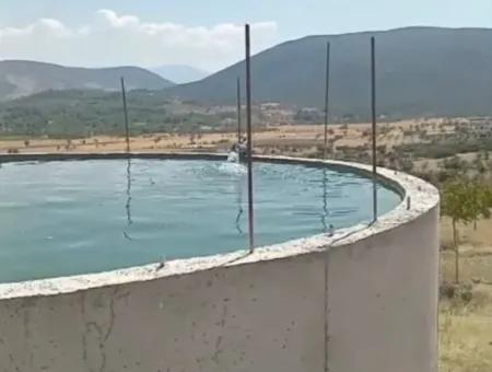 37.000 M² Walnussgarten In Denizli Tavas Ulukent Zum Verkauf