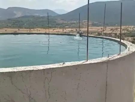 37.000 M² Walnussgarten In Denizli Tavas Ulukent Zum Verkauf