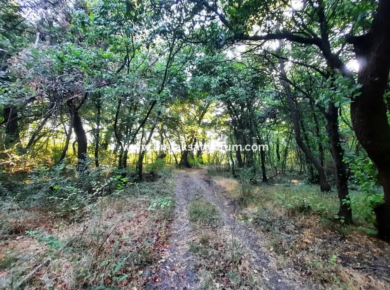 Land Suitable For Investment For Sale In Mugla Dalyan Marmarlı