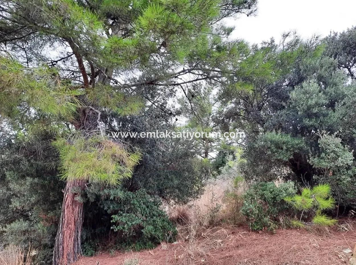 Plots With Sea View For Sale In Sarigerme Muğla