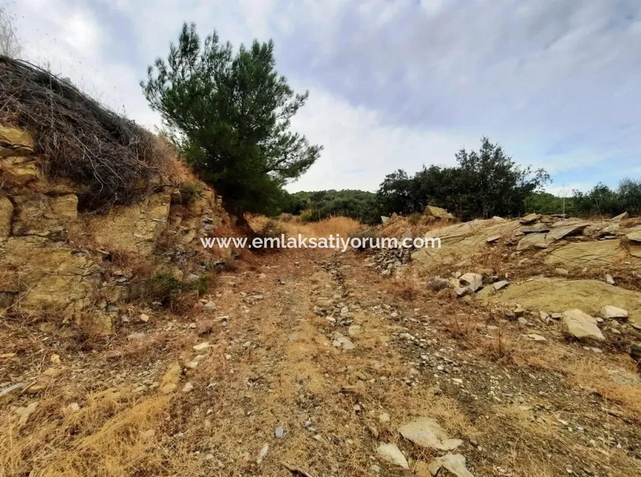 Plots With Sea View For Sale In Sarigerme Muğla