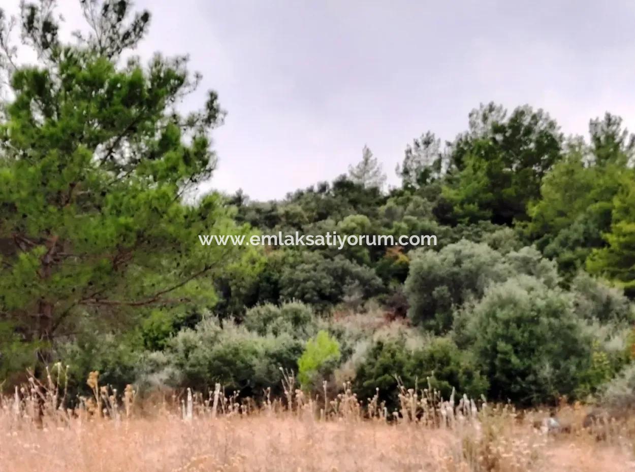 Plots With Sea View For Sale In Sarigerme Muğla