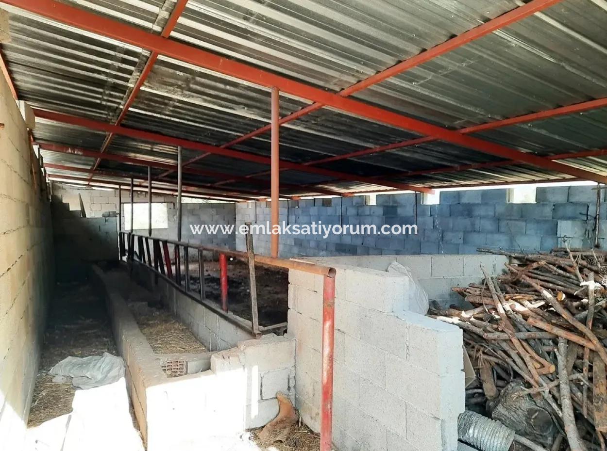 Denizli Çameli Cevizli 2 700 M2 Land And Village House For Sale