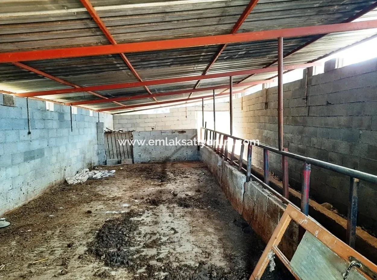 Denizli Çameli Cevizli 2 700 M2 Land And Village House For Sale