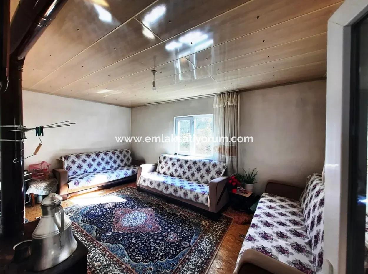 Denizli Çameli Kizilyaka Butterfly Land And Village House With Dog View For Sale