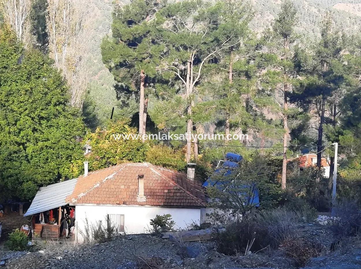 Mugla Dalaman Narli 1800 M2 Bargain Land For Sale