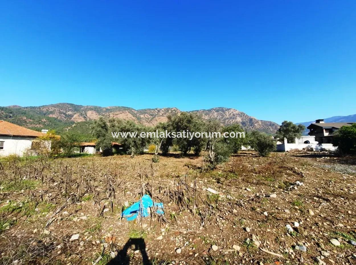 2,000 M2 Kelepir Detached Zoning Land For Sale In Köyceğinz Topars