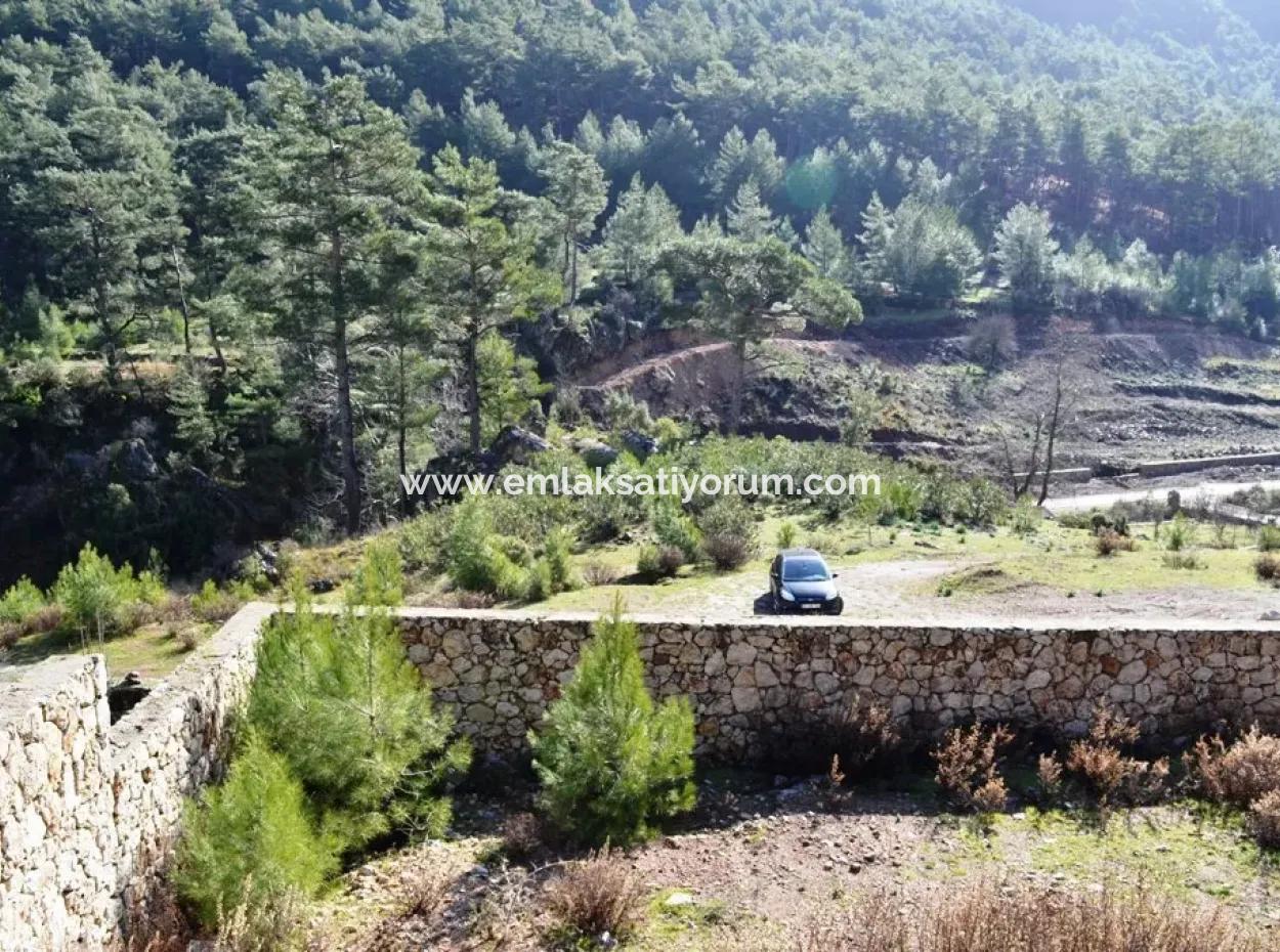 Zoning Land For Sale In Fethiye Grapes Kizilbel