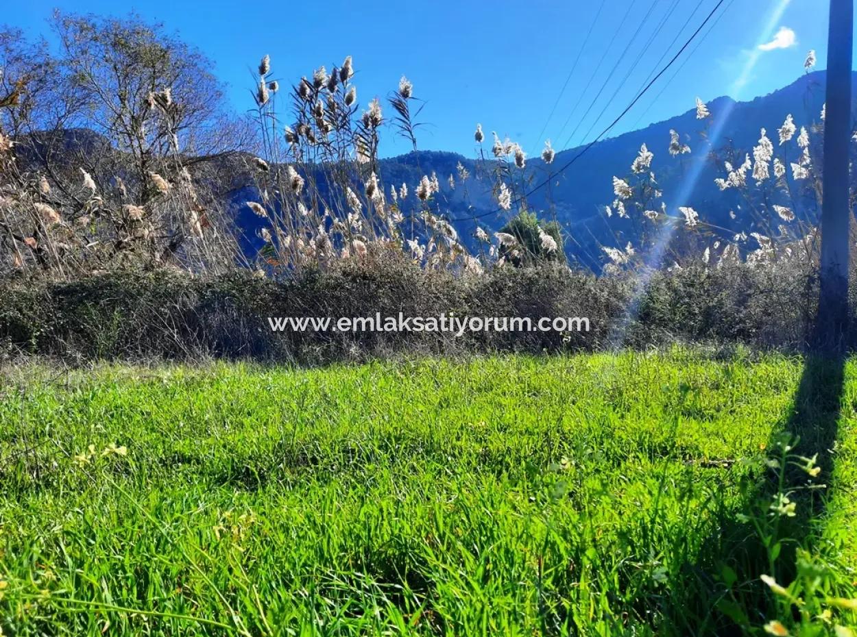Mugla Ortaca Dalyan Is Also Fertile Land Suitable For 9 300 M2 Investment With Road Facades For Sale