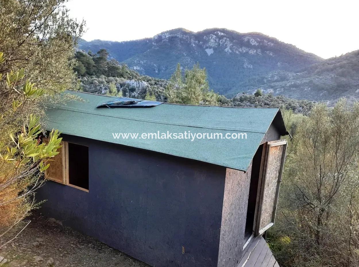 Mugla Dalyan Gokbel 1700 M2 Detached Land And Bungalow With Nature View