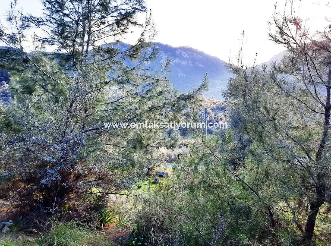 Mugla Dalyan Gokbel 1700 M2 Detached Land And Bungalow With Nature View