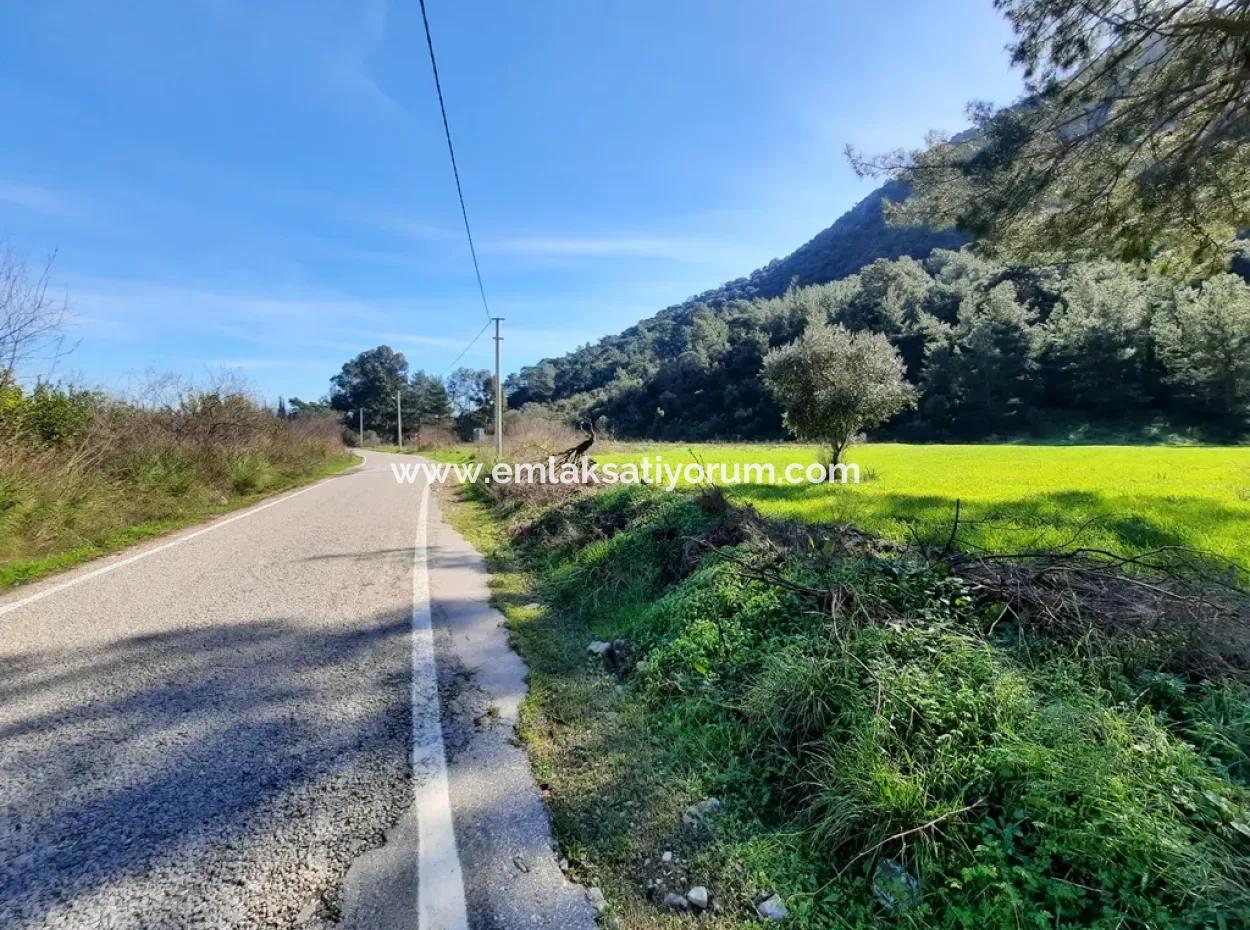 Mergenli For Sale In Ortaca Mountain Zero-Investment A Bargain Suitable Land