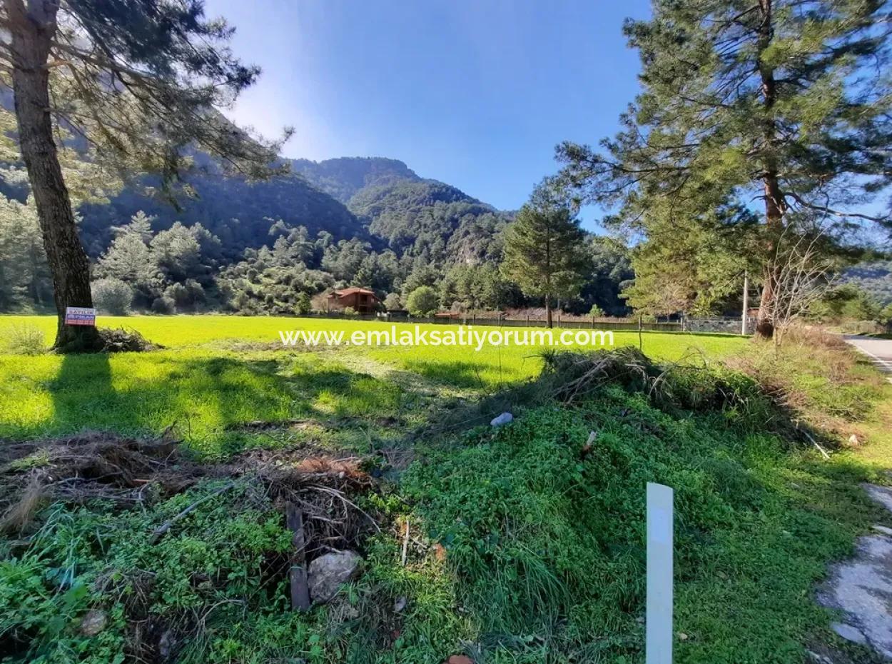Mergenli For Sale In Ortaca Mountain Zero-Investment A Bargain Suitable Land