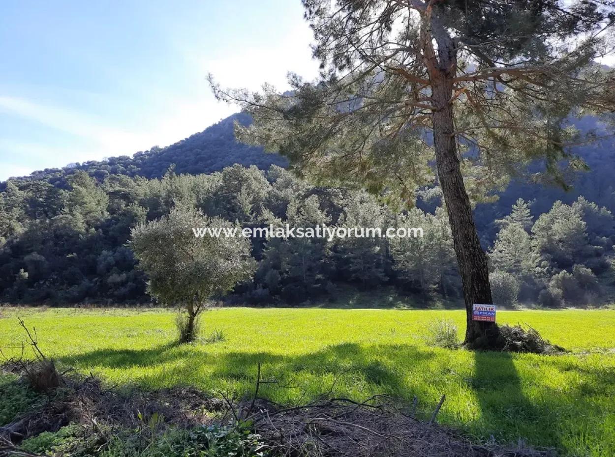 Mergenli For Sale In Ortaca Mountain Zero-Investment A Bargain Suitable Land