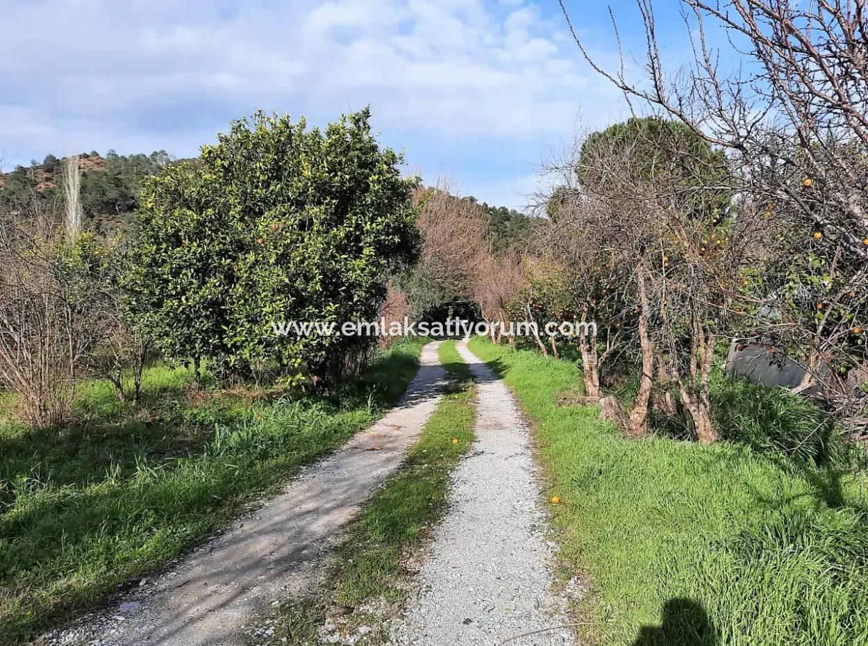 2 Parcels Of Zoning Land Side By Side For Sale In Ortaca Yerbelen