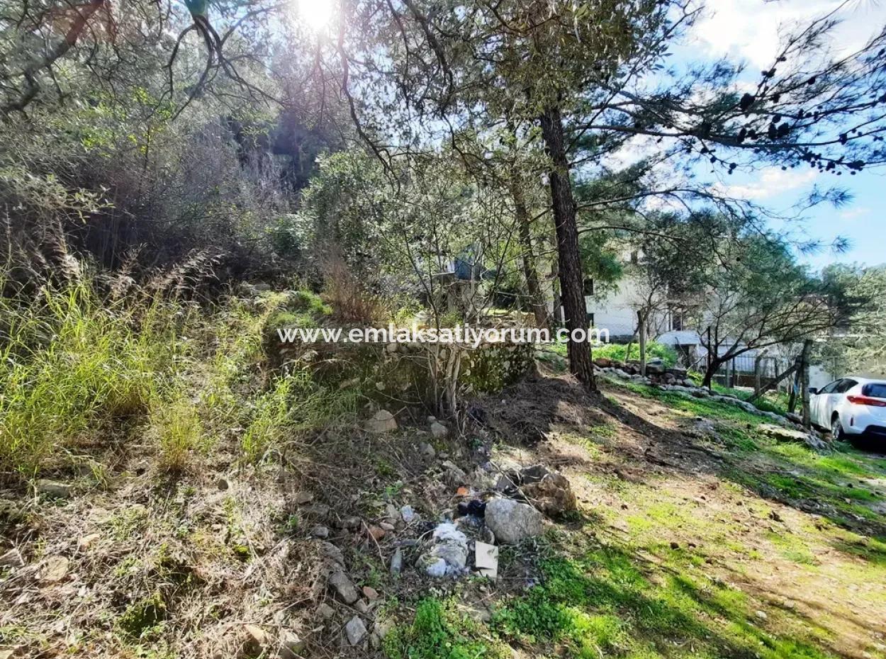 Ruined Stone Village House For Sale In Gökova And Its Land