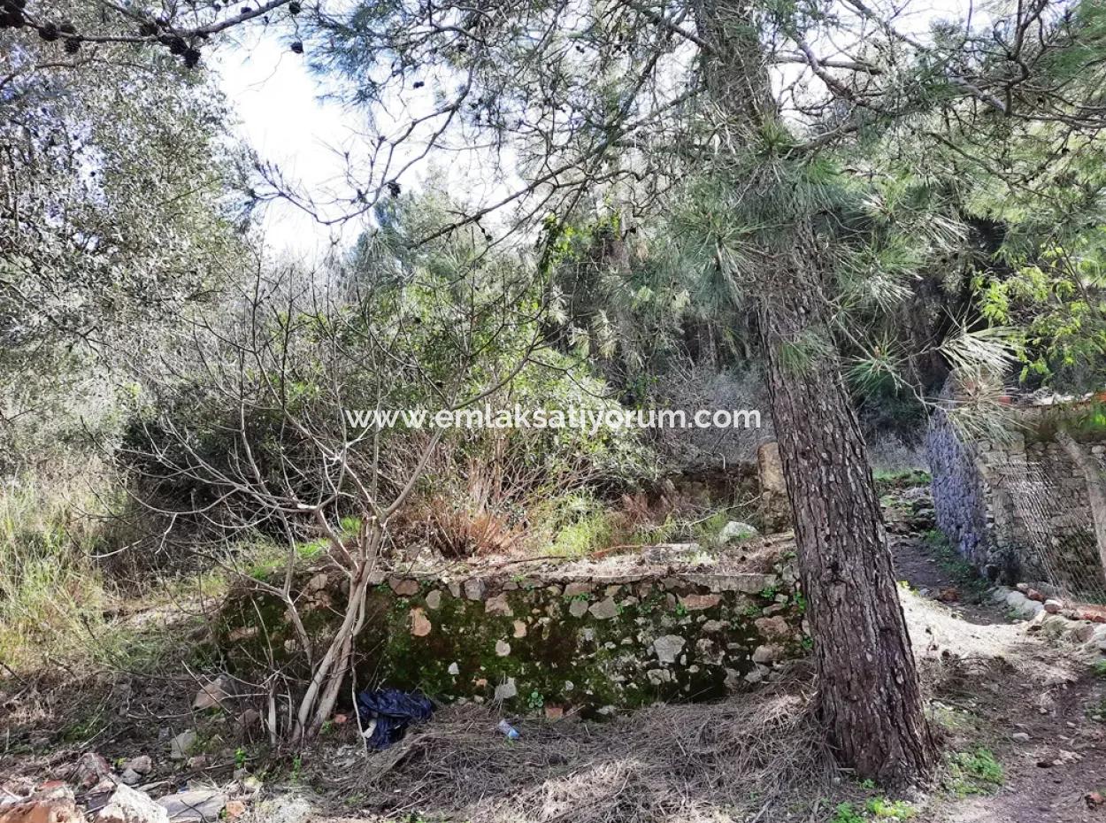 Ruined Stone Village House For Sale In Gökova And Its Land