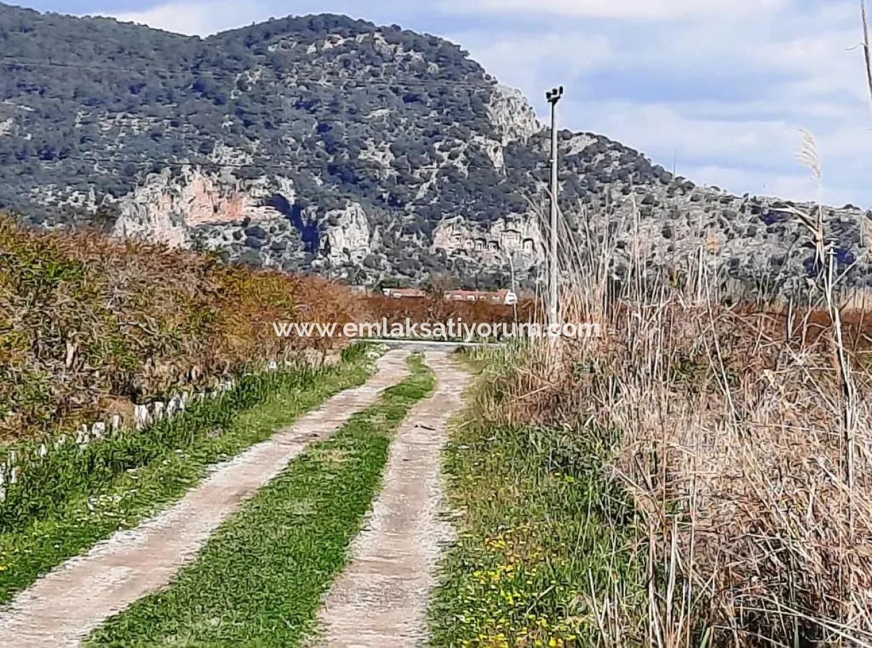 4830 M2 Land Near The Iztuzu Beach Road For Sale In Mugla Dalyan