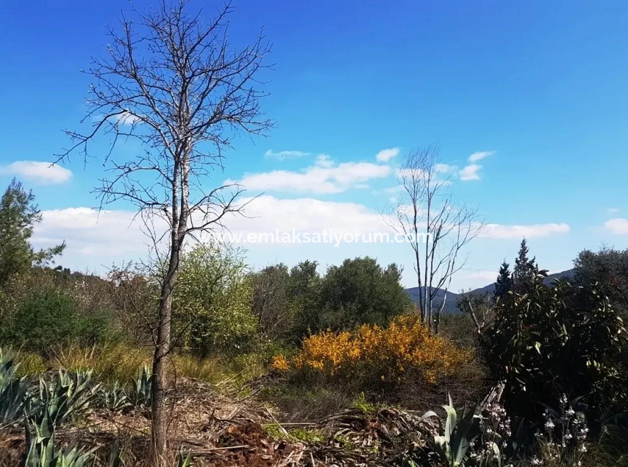 Excellent Plot For Sale Bargain, 2616 M2 Detached Parcels 6