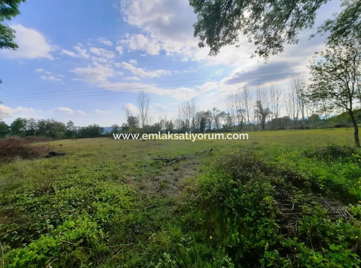 7668 M2 Bargain Land With Lake View For Sale In Köyceğiz Zeytinalani