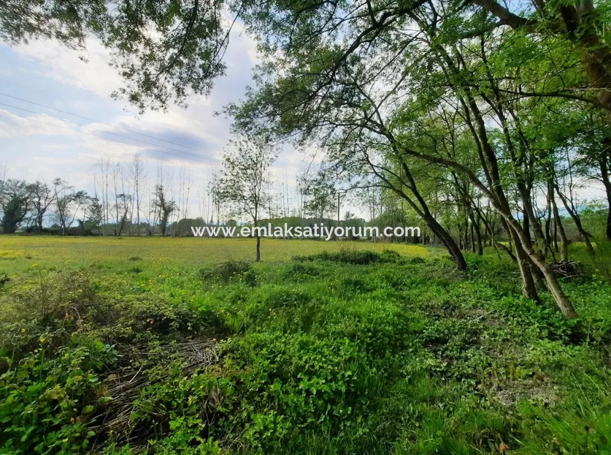 7668 M2 Bargain Land With Lake View For Sale In Köyceğiz Zeytinalani