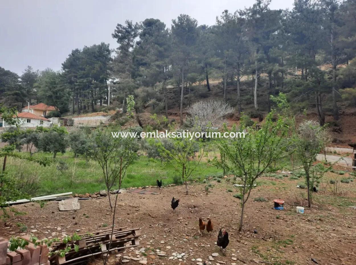 Köyceğinz Agla Yayla Opportunity 1050 M2 Zoning Land For Sale