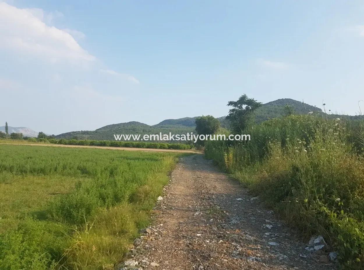3700 M2 Fertile Field For Sale In Ortaca Fevziye