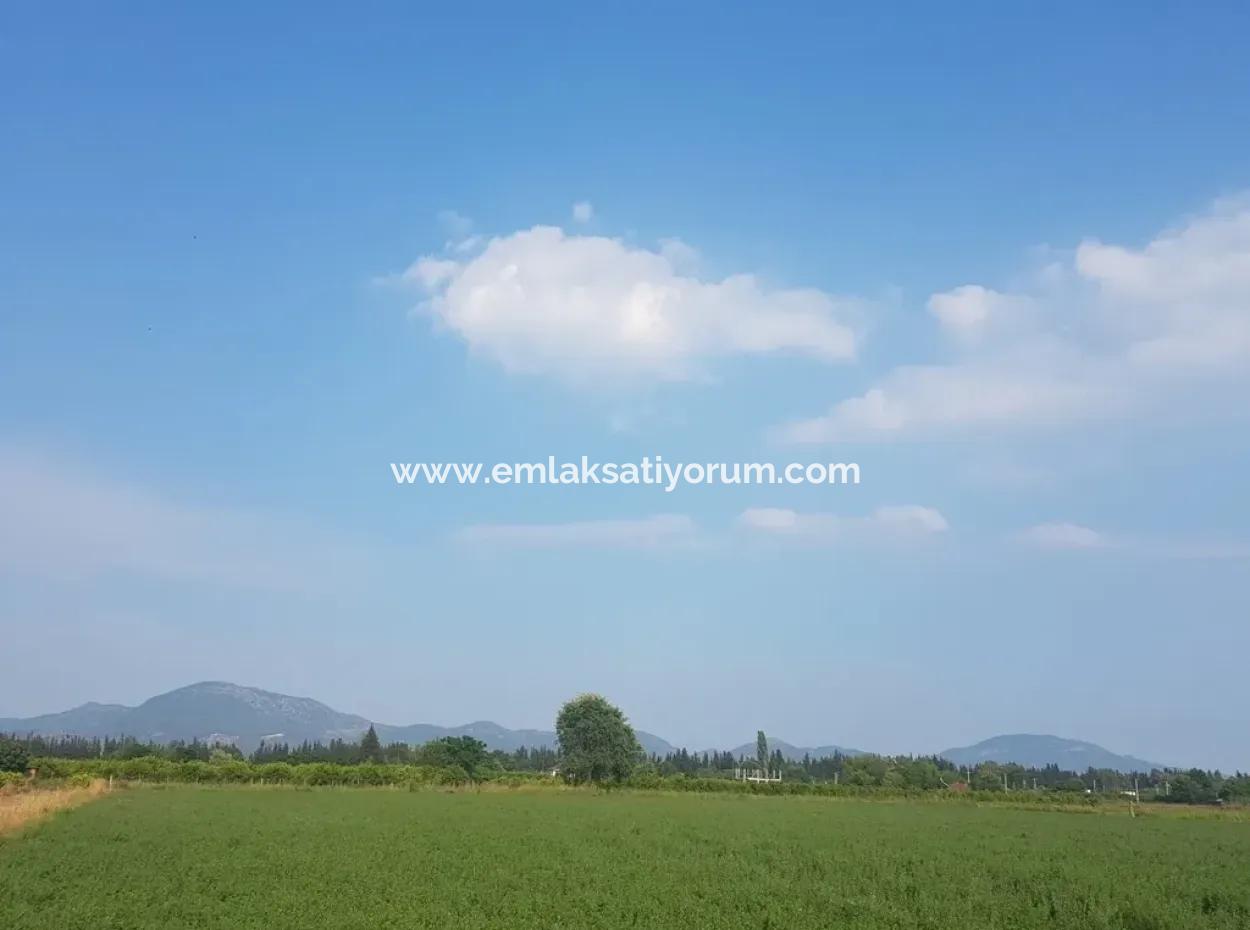 3700 M2 Fertile Field For Sale In Ortaca Fevziye