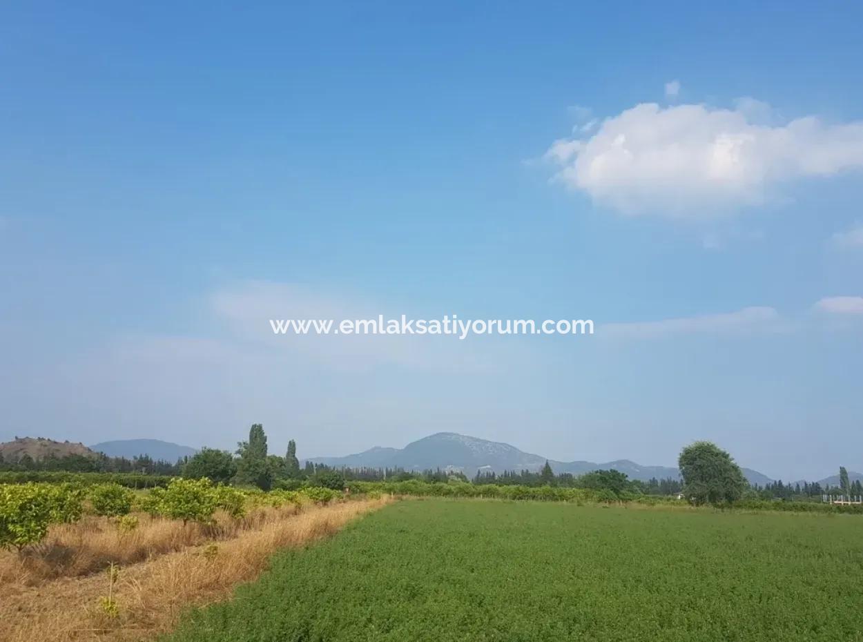 3700 M2 Fertile Field For Sale In Ortaca Fevziye