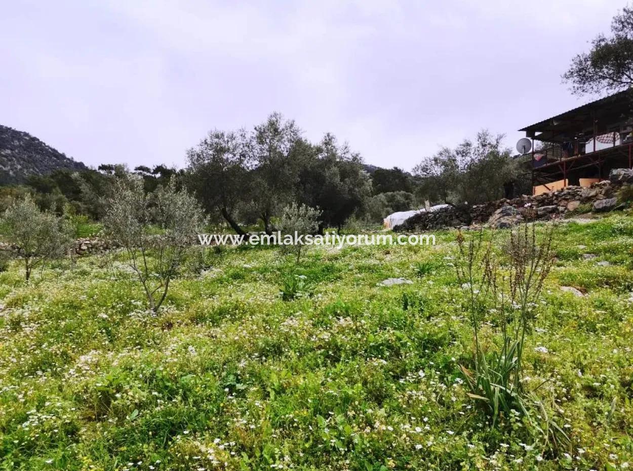 Detached Village House In Nature For Sale In Fethiye Gocek Taşbasi