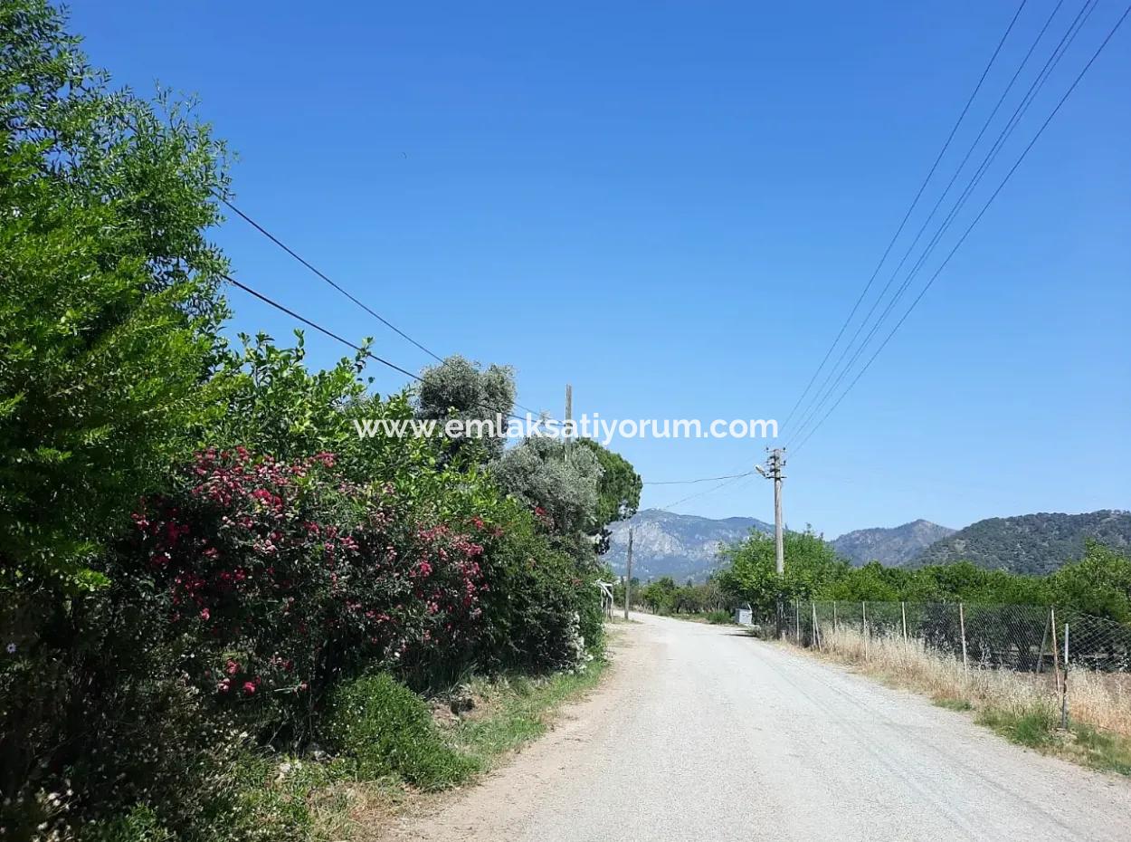 Bargain 560 M2 Plot For Sale In Muğla Ortaca Çaylı