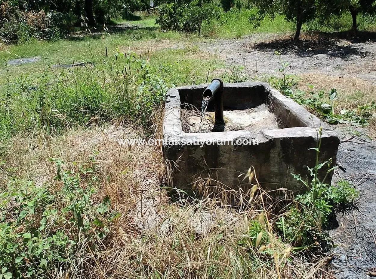 Detached Title Deed Close To The Lake In Köyceğiz 2 650 M2 Citrus Garden For Sale Or Exchange