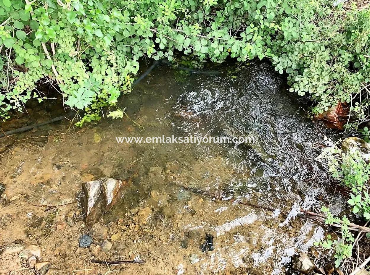 Tea Edge 10345 M2 Land And Detached House For Sale In Ortaca Çaylı Pine Forest