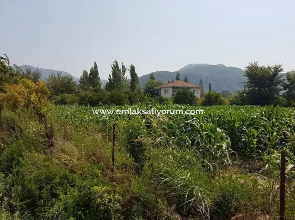 Detached 15000 M2 Fertile Land For Sale In Mugla Ortaca Archers